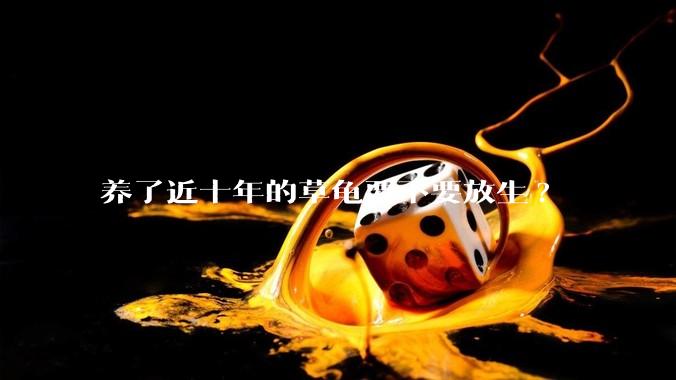 养了近十年的草龟要不要放生?