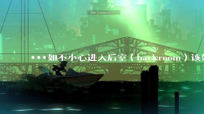 ***如不小心进入后室（backroom）该如何求生？